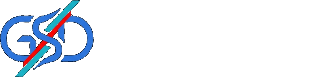GS Dynamic